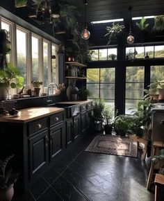 a kitchen filled with lots of potted plants