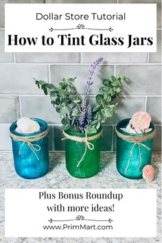 three jars with plants in them and the text dollar store tutor how to tint glass jars