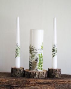 three candles sitting on top of a piece of wood next to each other with plants painted on them