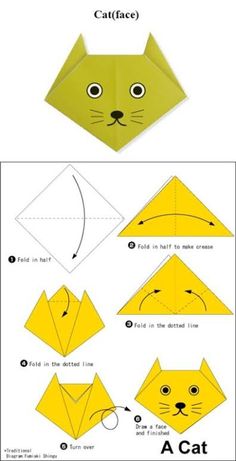 how to make an origami cat that looks like it is in the book