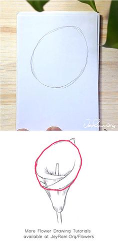 how to draw an origami flower with this simple step - by - step instructions