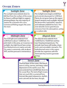 an ocean zone worksheet with four different types of zones and their corresponding names