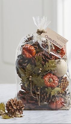 a plastic bag filled with pine cones and pumpkins on top of a white counter