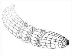 a drawing of an object that looks like a tube