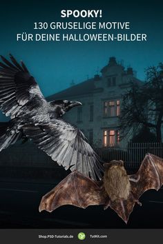 a large bird flying over a bat in front of a building at night with the caption spooky