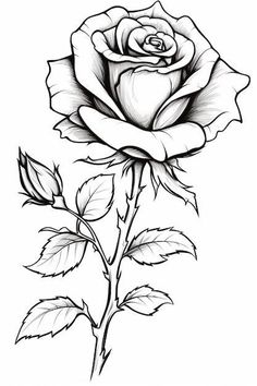 Realistic Roses Drawing, Flower With Stem Drawings, Tattoo Roses Design, Rose Chalk Art, Rose Vines Drawing, Roses Line Drawing, Realism Rose Tattoo Design, Realistic Rose Tattoo Stencil