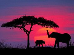 an elephant and her baby are silhouetted against the setting sun as they stand under a tree