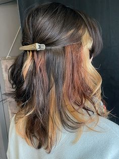 calico hair trend Peekaboo Hair On Short Hair, Chunky Multi Colored Highlights, Calico Underneath Hair, Skunk Stripe Hair Color Ideas, Calico Shag Hair, Calico Hair Sectioning, Calico Hair On Brown Hair