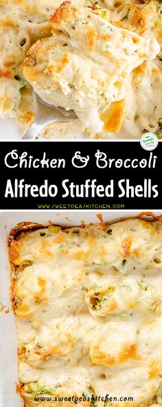 chicken and broccoli alfredo stuffed shells in a white casserole dish with text overlay