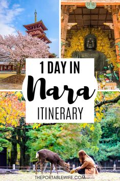 the top ten things to see and do in narra, japan with text overlay reading 1 day in narra itiner