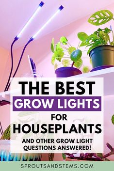 the best grow lights for houseplants and other grow light questions answered