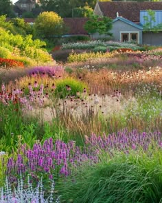 the garden is full of colorful flowers and plants