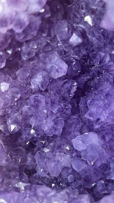 purple crystals are shown in this close up photo