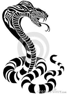 a black and white cobra tattoo design on a white background stock photo - image 3497