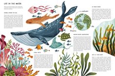 an illustrated book with marine animals and plants