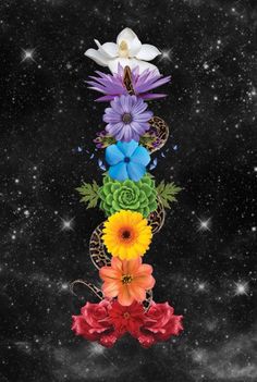 flowers are arranged on top of each other in the middle of a space filled with stars