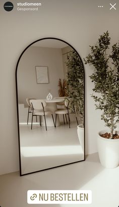 a white room with a large mirror and potted plant on the table in front of it