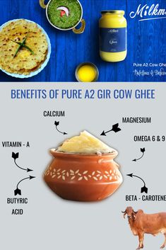 A2 gir cow ghee Gir Cow, Desi Cow, Cow Ghee, Cow Milk, Dairy Farm, Beta Carotene, Dairy Farms, Milk Cow