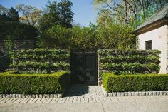 Walled Garden Garden Necessities, Espalier Fruit Trees, Emerald Green Arborvitae, Boxwood Garden, Privacy Plants, Hgtv Garden, Benefits Of Gardening, Walled Garden, Garden Shrubs