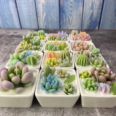 small ceramic succulents are arranged in white trays