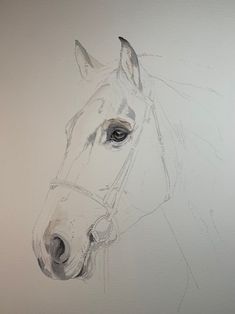 a drawing of a horse's head on a white wall