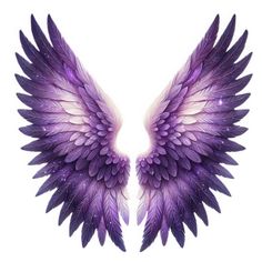 two purple and white wings on a white background