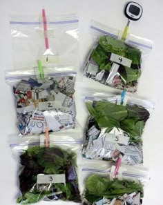 four bags filled with different types of green plants and small things hanging from the top