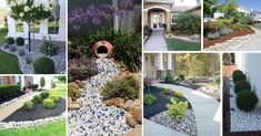 several pictures of different types of landscaping