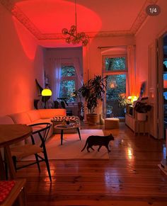 a cat walking across a living room floor