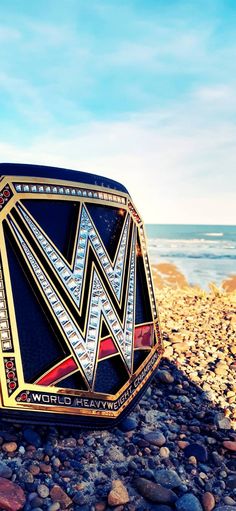 a wrestling belt sitting on top of a rocky beach