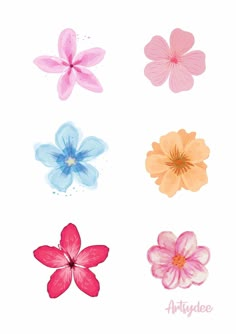 four different types of flowers on a white background