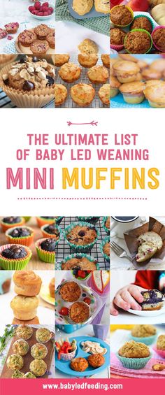 the ultimate list of baby led weaning mini muffins