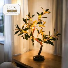 a small potted plant sitting on top of a wooden table next to a window