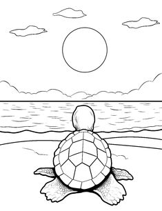 50 Turtle Coloring Pages: Free Printable Sheets coloringmasterpiece #creativecoloringfun🍀. Coloring Pages For Watercolor, Tracing Pictures For Adults, Outerbanks Coloring Pages, Color Pages Aesthetic, Coloring Papers Printable, Summer Colouring Page, Beach Colouring Pages, Fun Coloring Pages For Teens, Dolphin Coloring Pages Free Printable