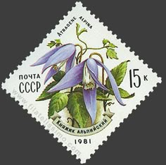 a stamp with purple flowers and green leaves on the bottom half of it, in russian language