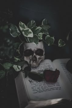 an open book with a skull on it next to a plant and a red rose