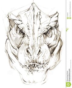 an ink drawing of a dinosaur's head with large teeth and fangs on it