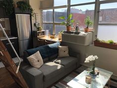 a living room filled with furniture next to a window covered in plants and potted plants