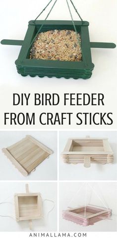 diy bird feeder from craft sticks