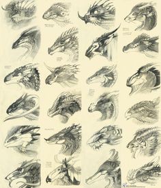 some drawings of different types of dragon heads