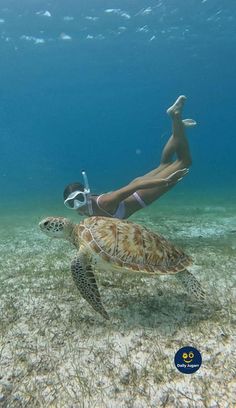 Ocean Girl, Shotting Photo, Summer Goals, Ocean Vibes, A Turtle, Summer Bucket Lists