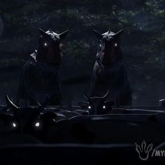 two black cows with glowing eyes in the dark