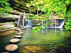 stepping stones lead down to a waterfall in the middle of a forest filled with green trees