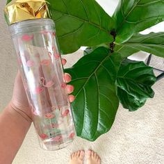 a person is holding a water bottle with flamingos on it next to a plant