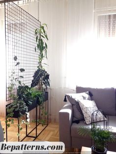 a living room filled with lots of plants next to a white couch and window sill