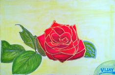 Painting of a Rose flower with Golden Red colour Red Rose Plant, Rose Plant, Golden Red, Red Petals, Planting Roses, Silver Paint, Golden Rose, Red Colour, Photo Reference