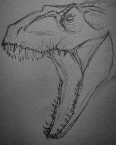 a drawing of a dinosaur's head with sharp teeth