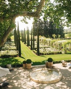 an outdoor garden with lots of trees and lawn furniture