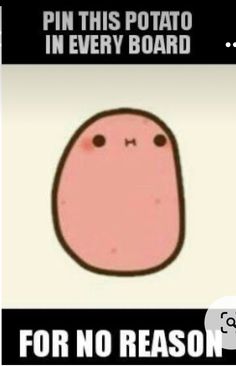 an image of a pink potato saying pin this potato in every board for no reason