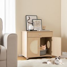 a cat laying on top of a white rug next to a wooden cabinet with two cats in it